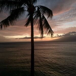 Meet your Posher, Gabriela